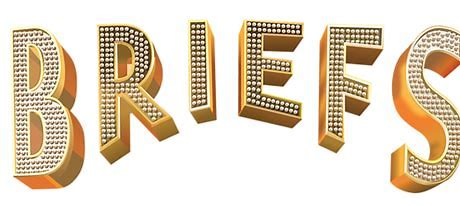Briefs logo