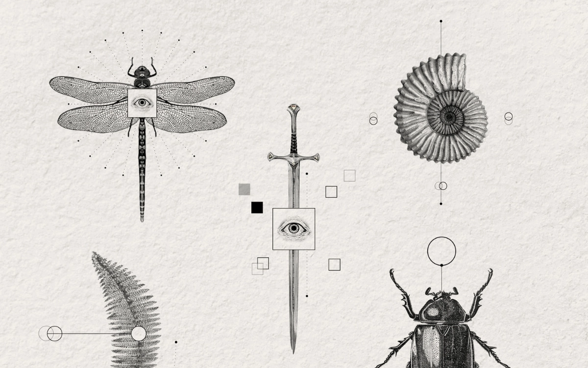 Dragonfly, shell, and sword tattoos