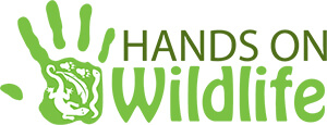 Hands on Wildlife logo logo