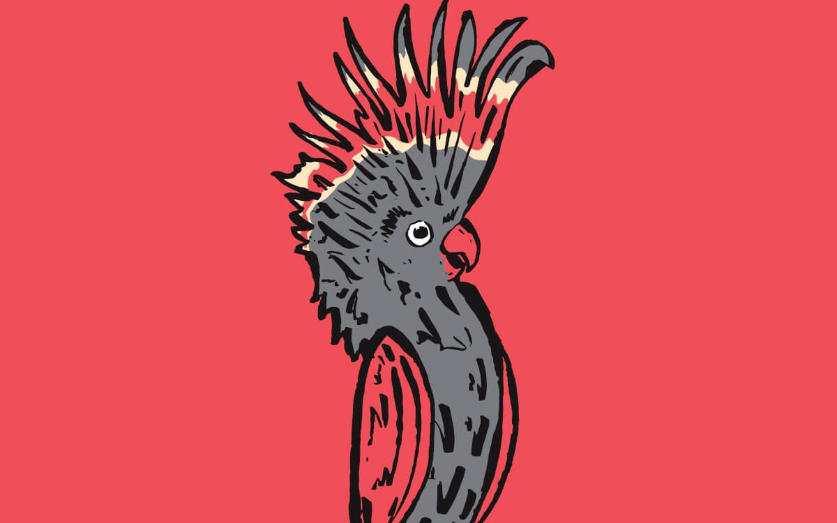 Melbourne International Comedy Festival Roadshow - Theatre Season 2026 image