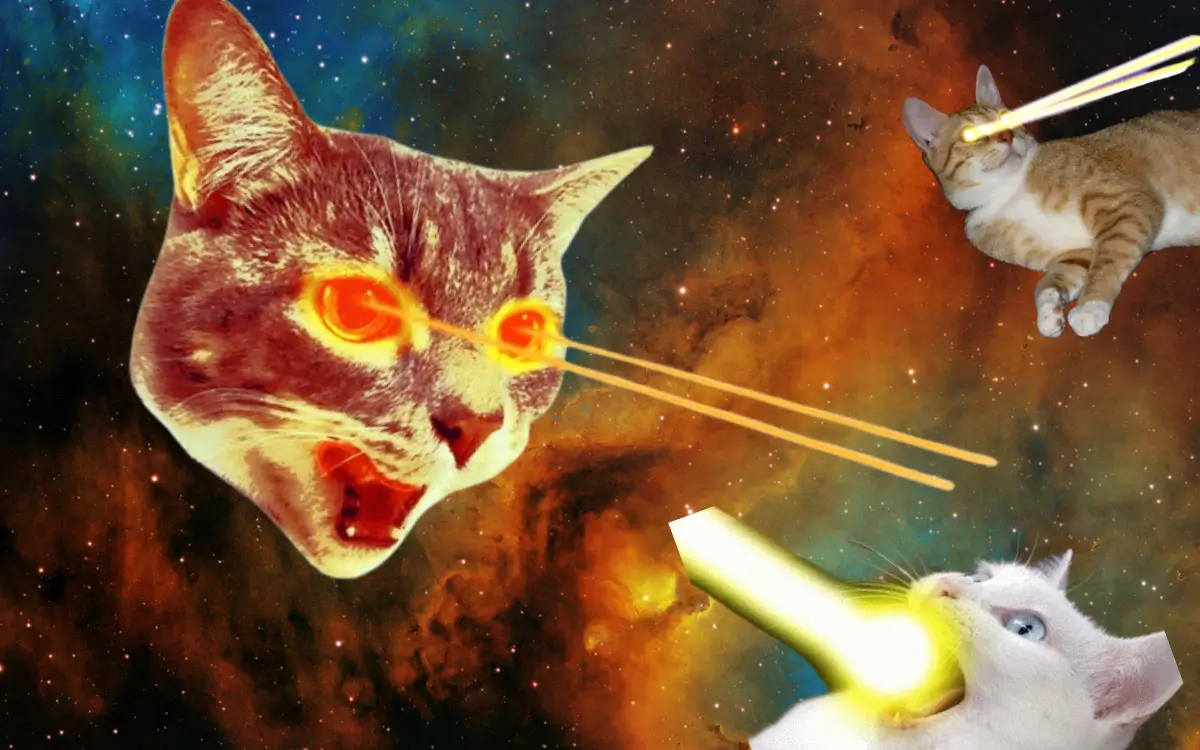 Cats with lasers on a starry background