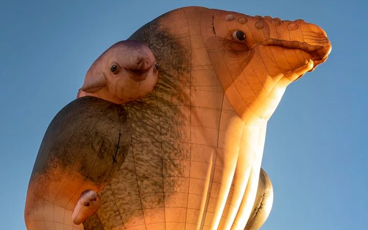 Skywhales Across Australia image