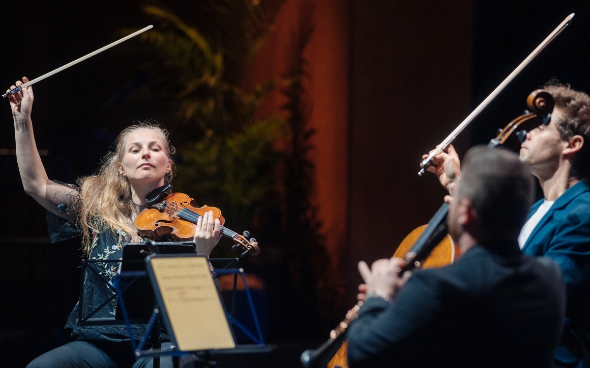 Musicians playing at an evening concert