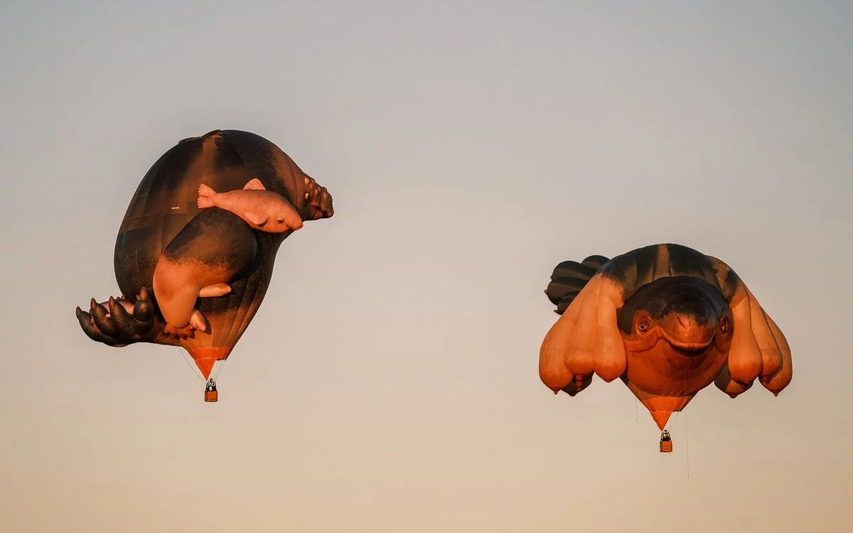 Skywhales Across Australia image