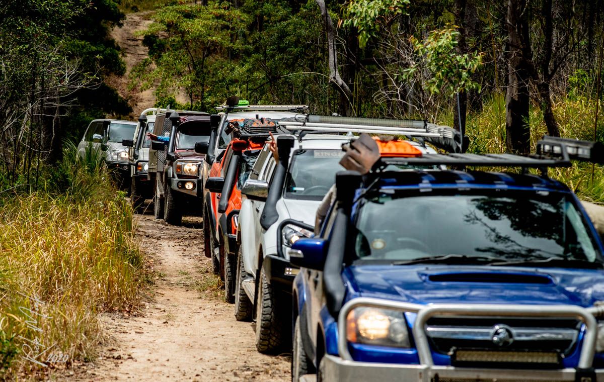 A convoy of 4WD along a road