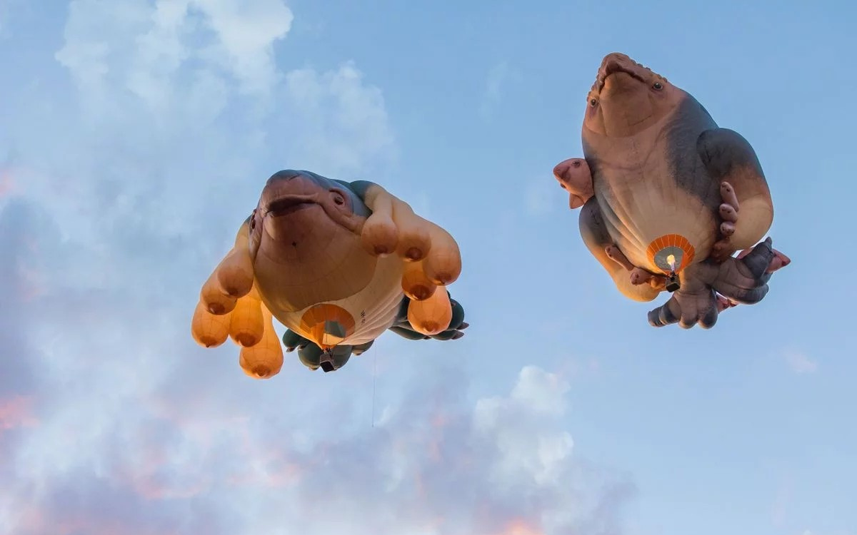 Skywhales Across Australia image