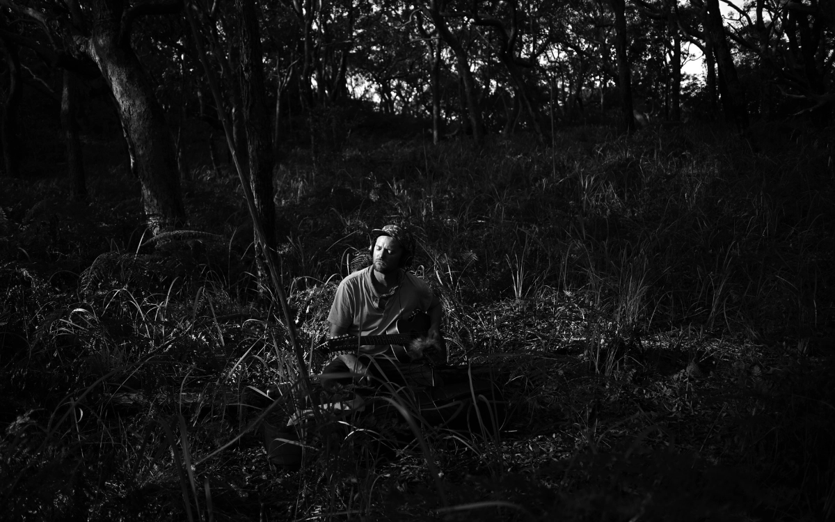 Musician in the forest