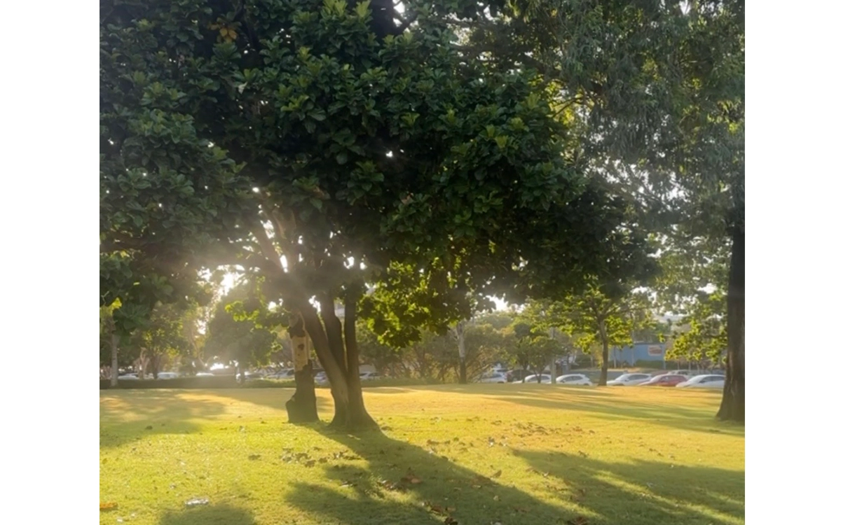 Morning Outdoor Yoga