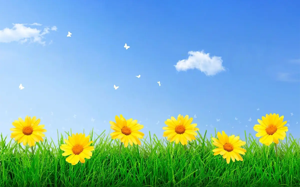 Flowers growing around grass with butterflies flying around