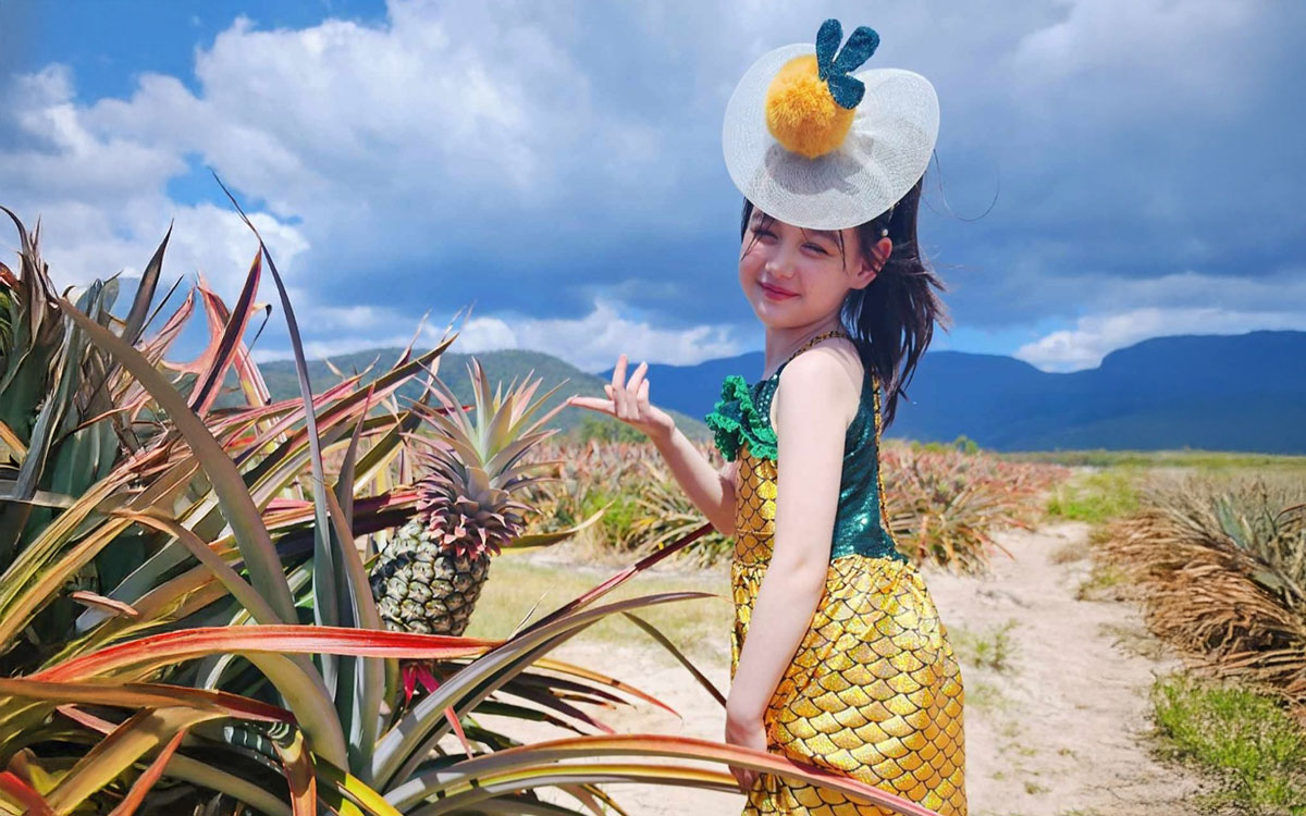 Little girl in a pineapple costume standing next to a pineapple plant