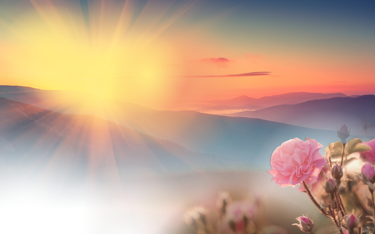 Mother’s Day Memorial image