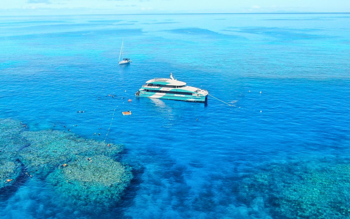 Great Barrier Reef Day Tour image
