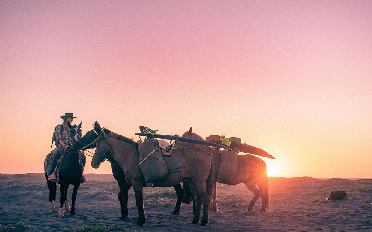 Woman with two horses