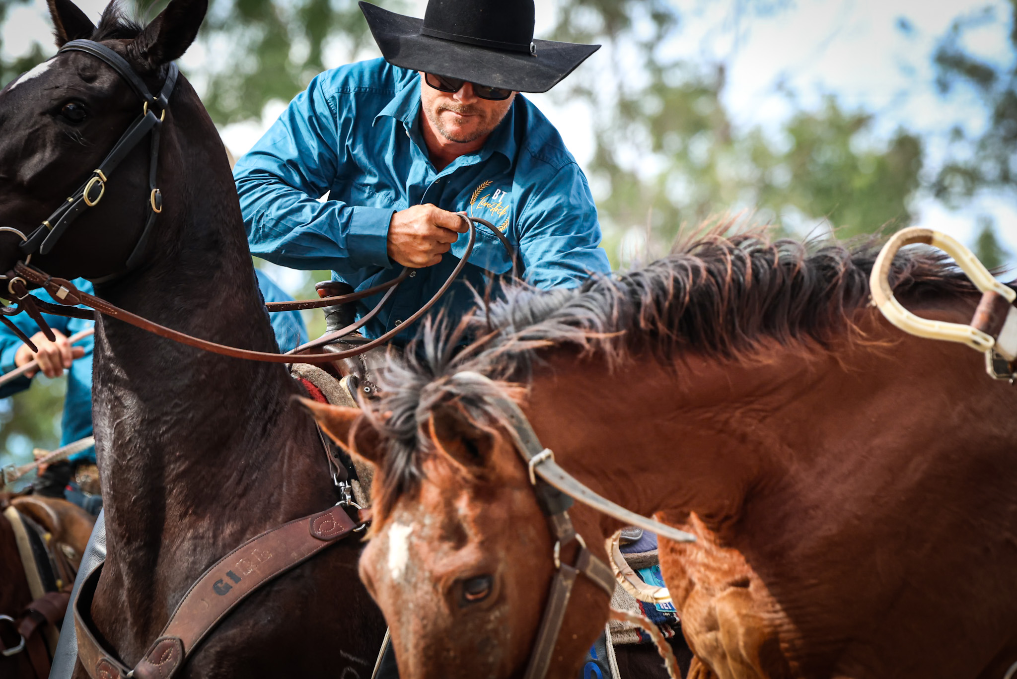 Bartlett Park Rodeo image