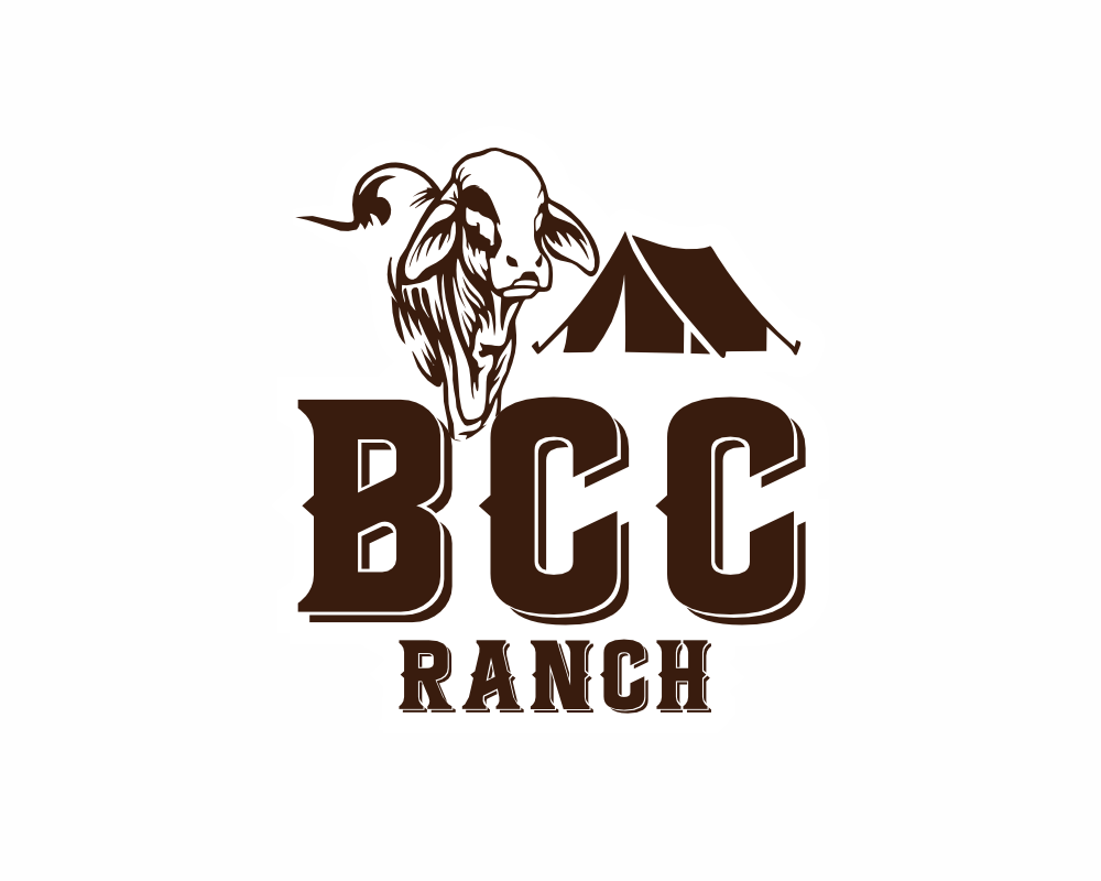 Sleeve - BIG CRYSTAL CREEK.png logo