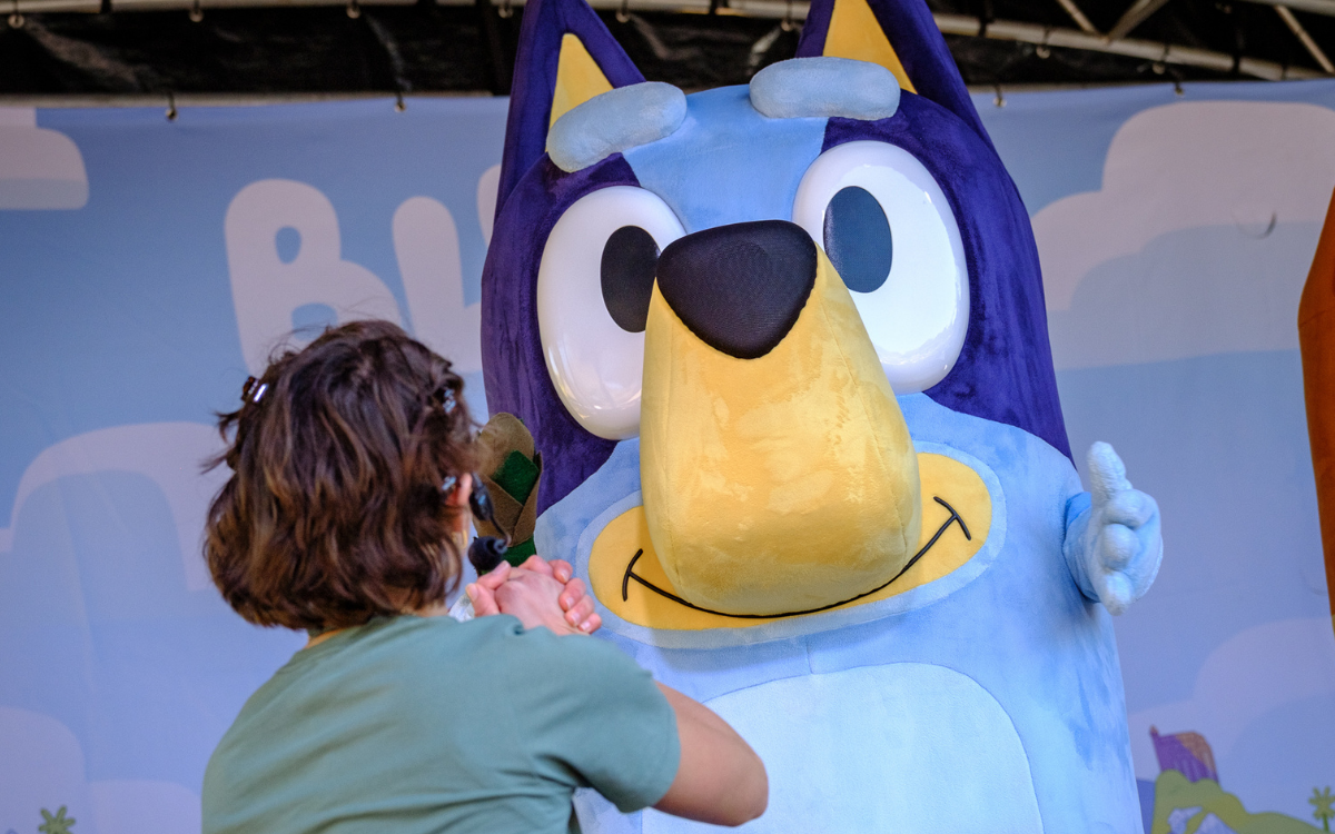 Child looking at Bluey