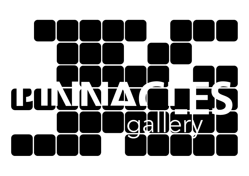 pinnacles-logo_flat-blk-mono.png logo