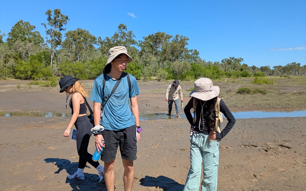 Saltmarsh participants