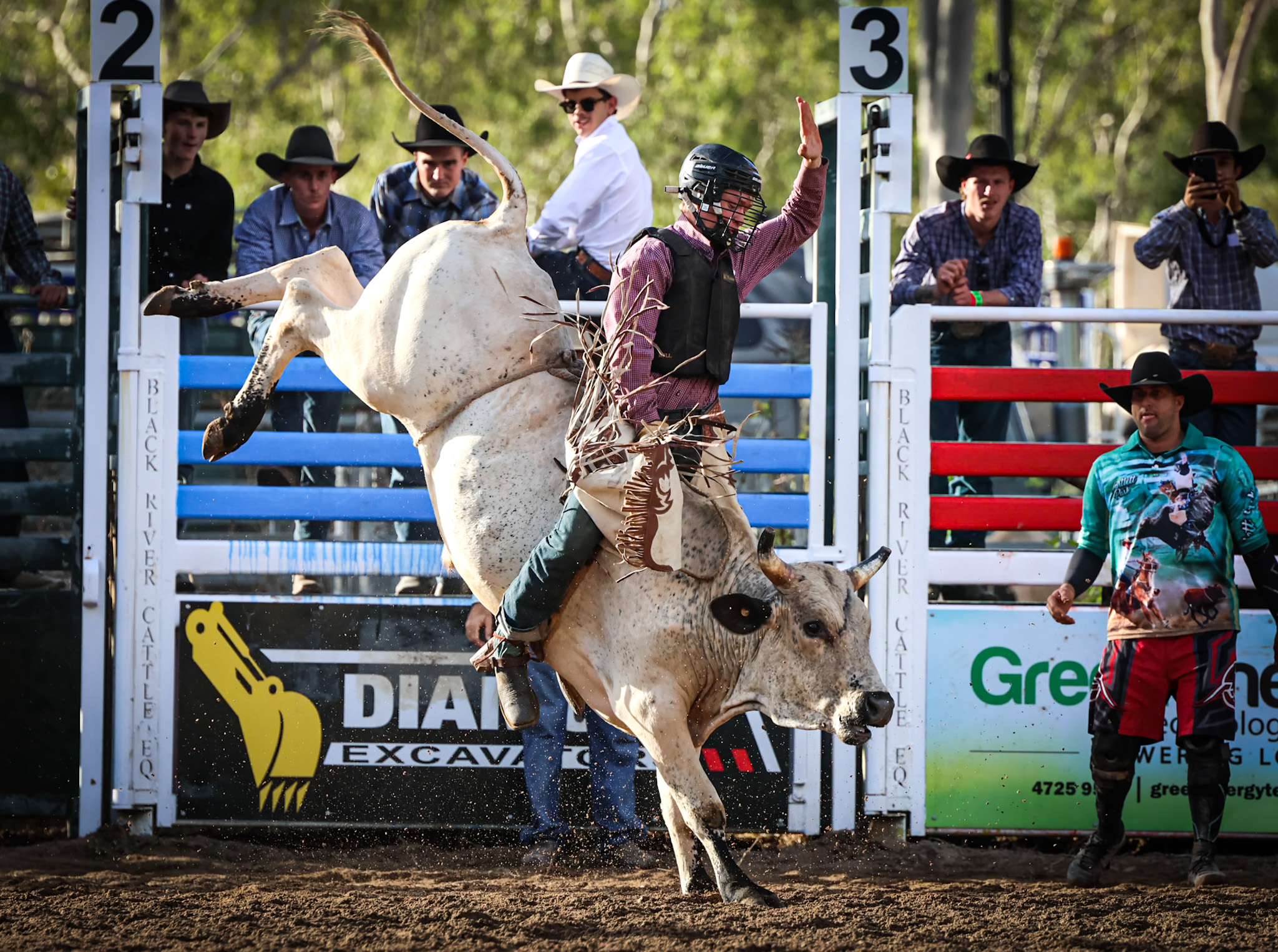 Bartlett Park Rodeo image