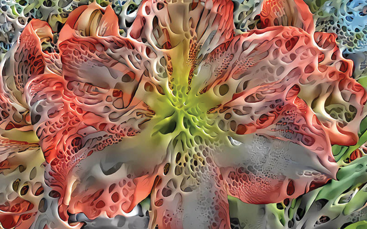 Tim Gruchy, Beauty Unbeauty (still), 2019, non-synchronised five channel video, 00:50:00. Image courtesy of the artist.