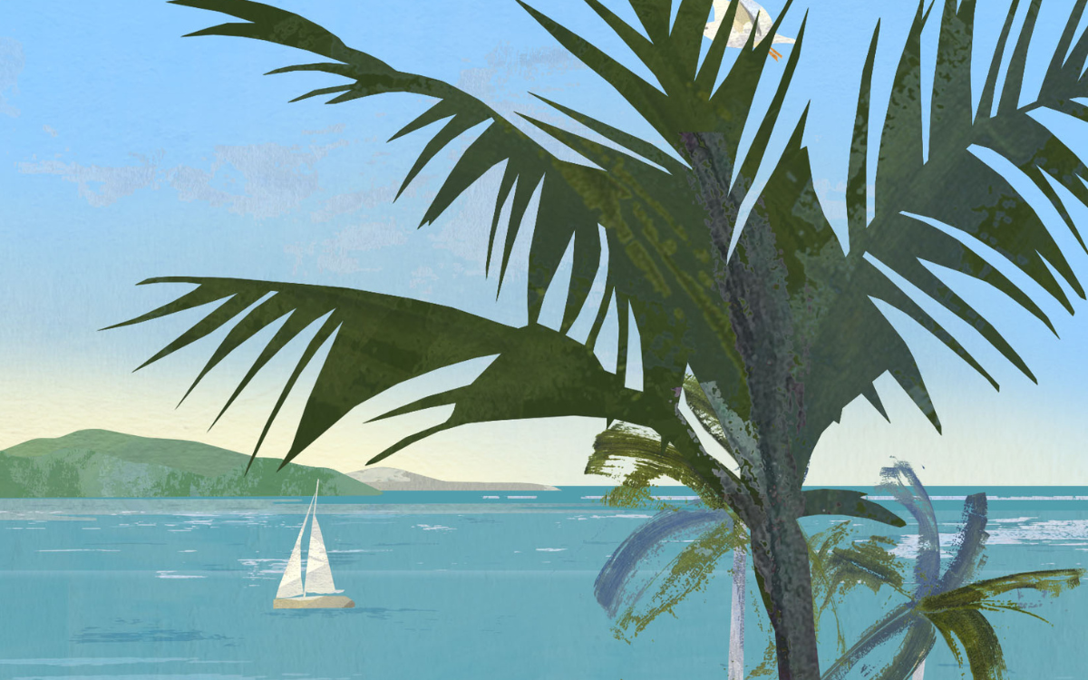 Palm tree and sailboat at the beach