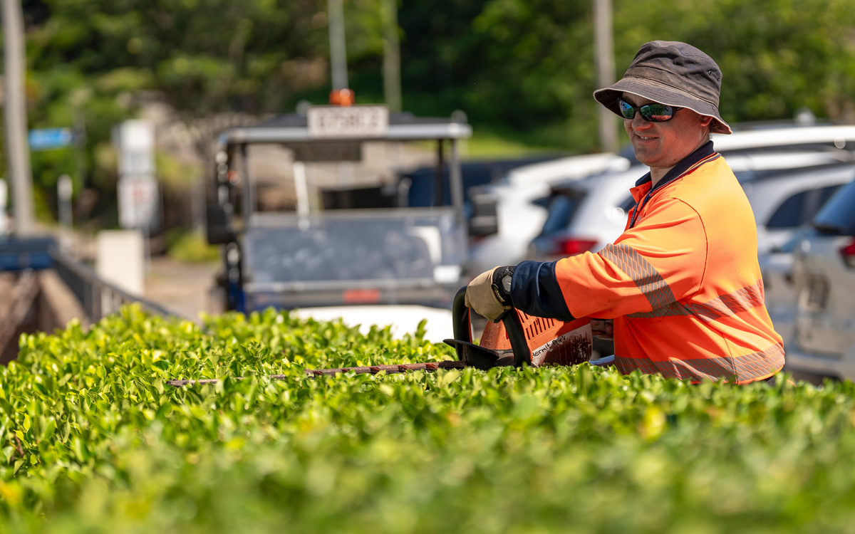 Council worker trimming hedge