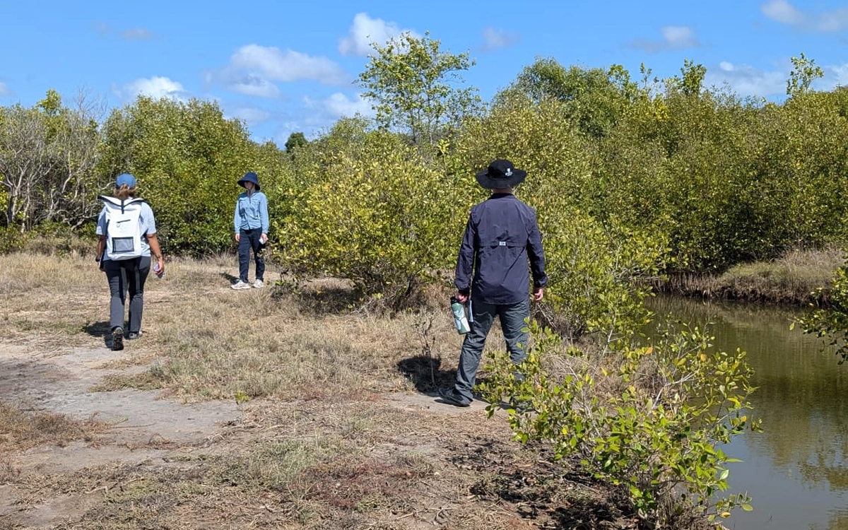 Saltmarsh Survey participants