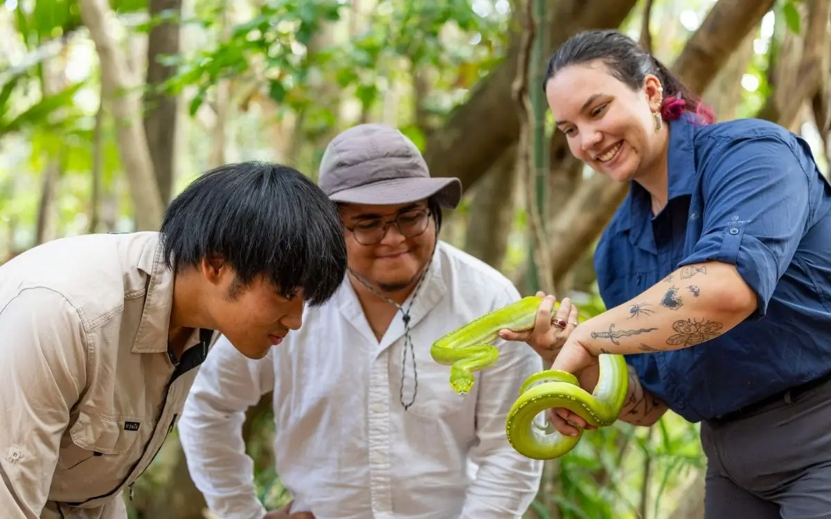 Two men watching a green snake held by a woman