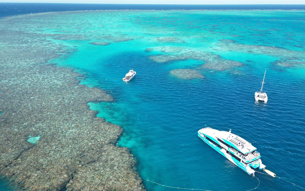 People snorkelling near coral