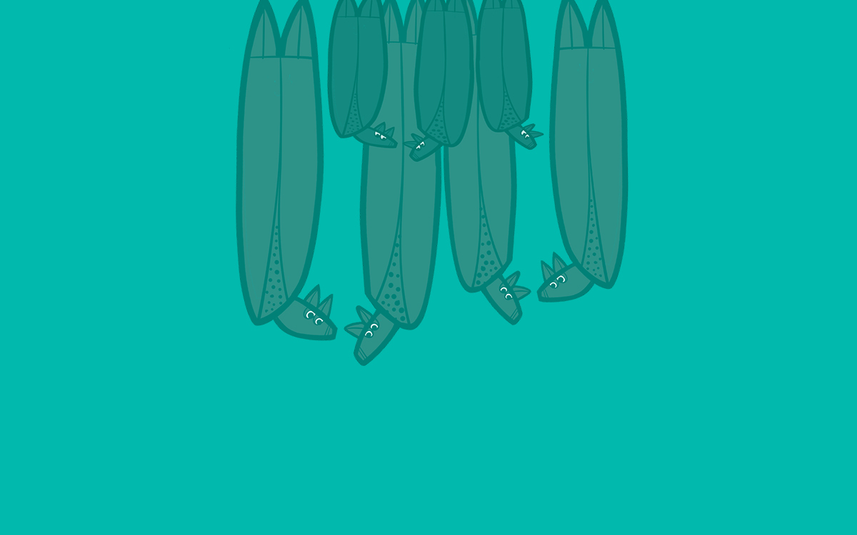 Songtime in the Park image