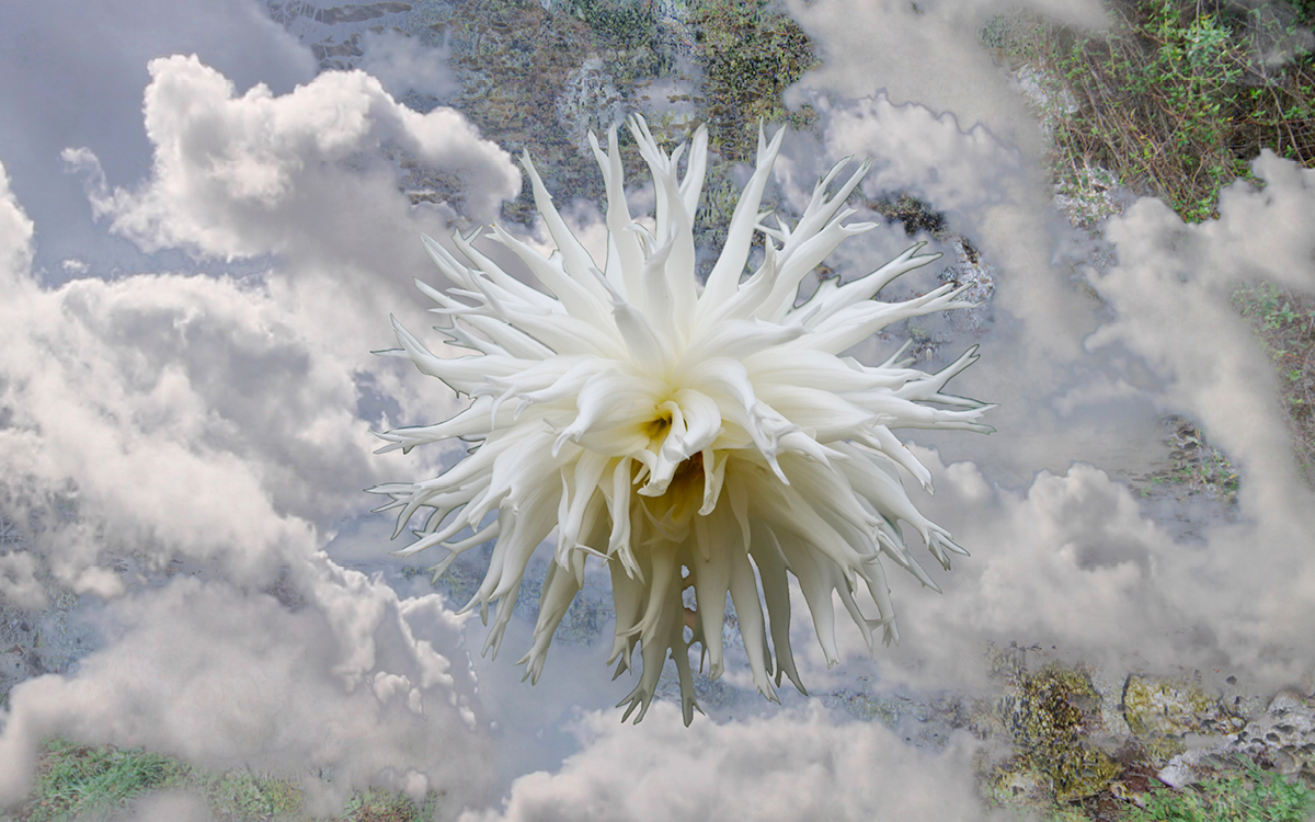 Tim Gruchy, Dissolving World (still) 2021, single-channel video, 00:14:30. Image courtesy of the artist.