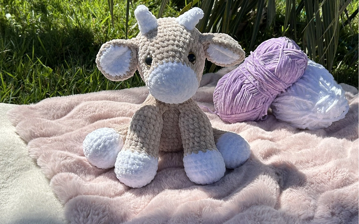 Crochet Classes