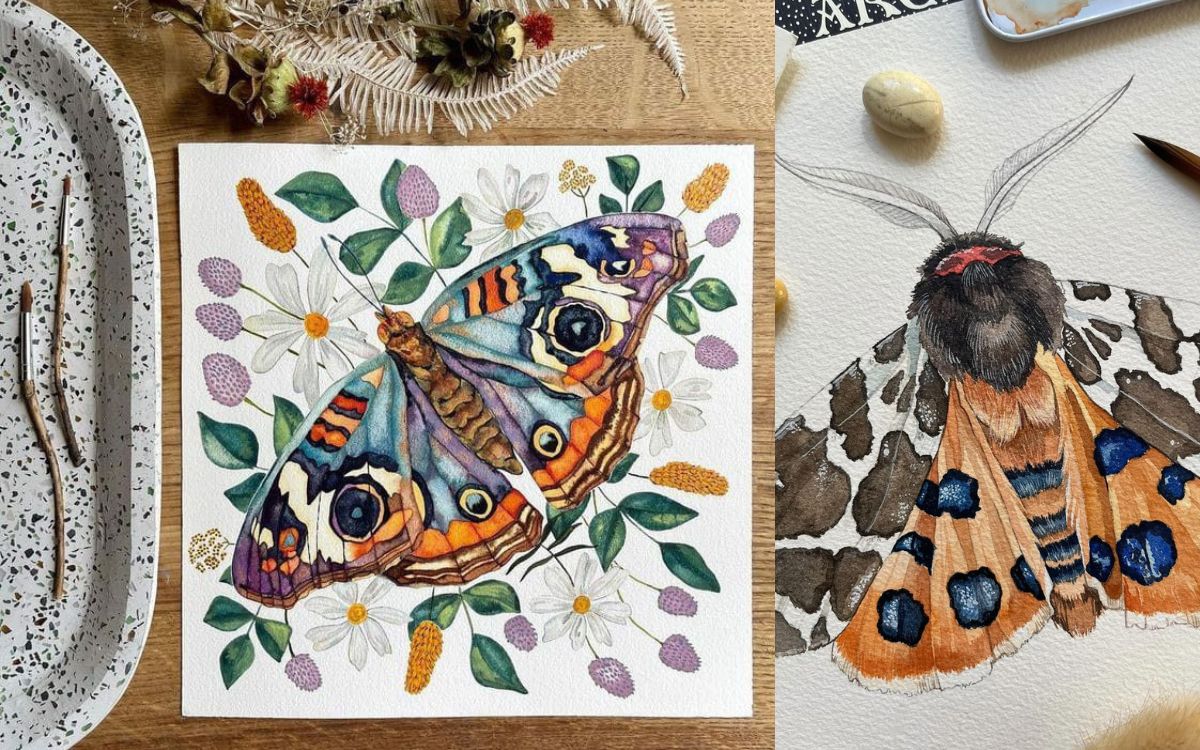 Butterfly art
