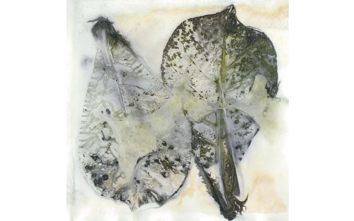 Botanical Eco Printing Workshop